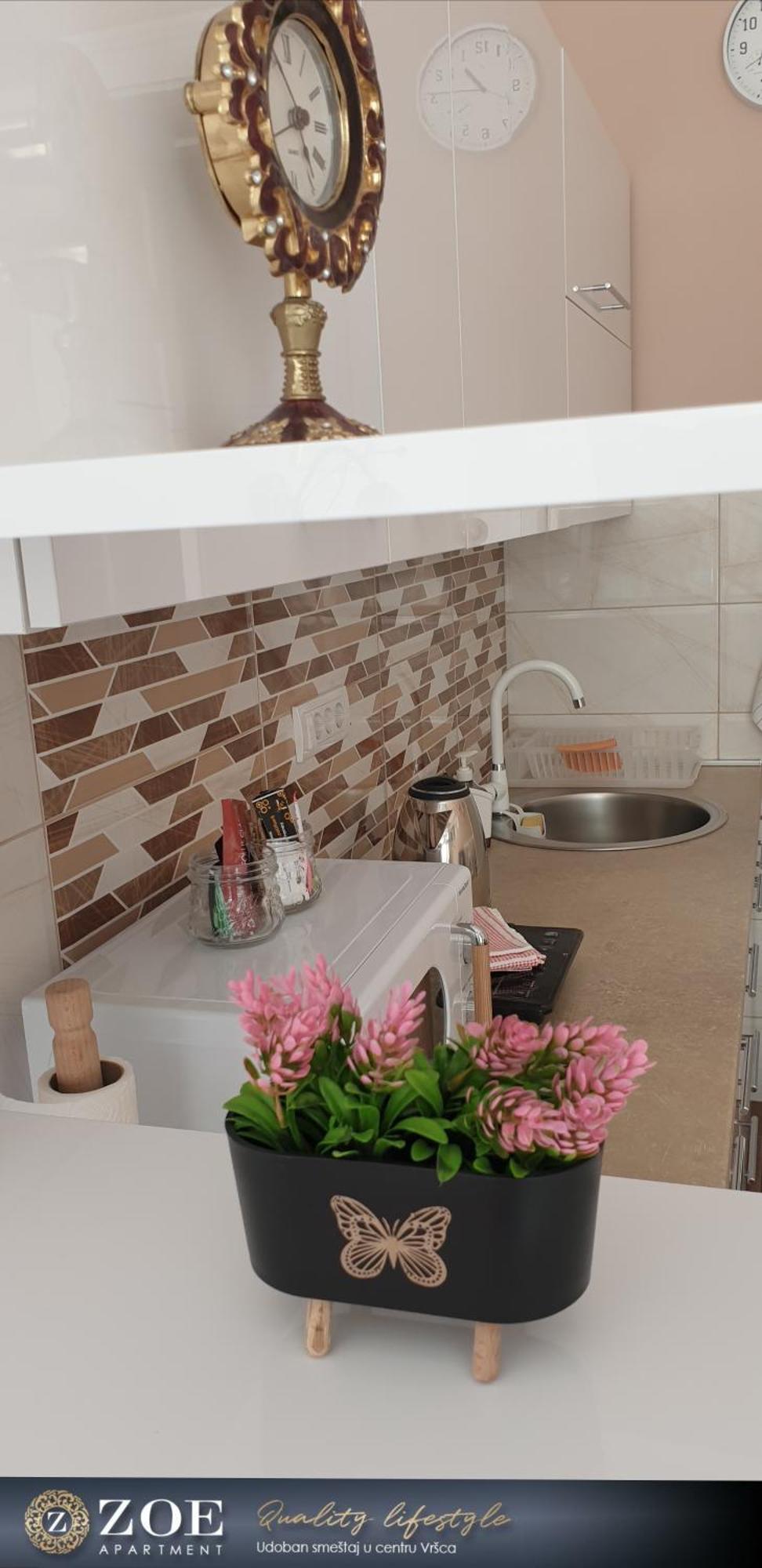 Zoe Apartment Versec Kültér fotó
